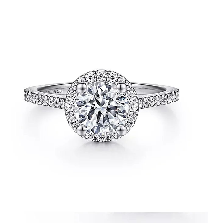 ladies engagement rings trilogy-Carly - 14K White Gold Round Halo Diamond Engagement Ring