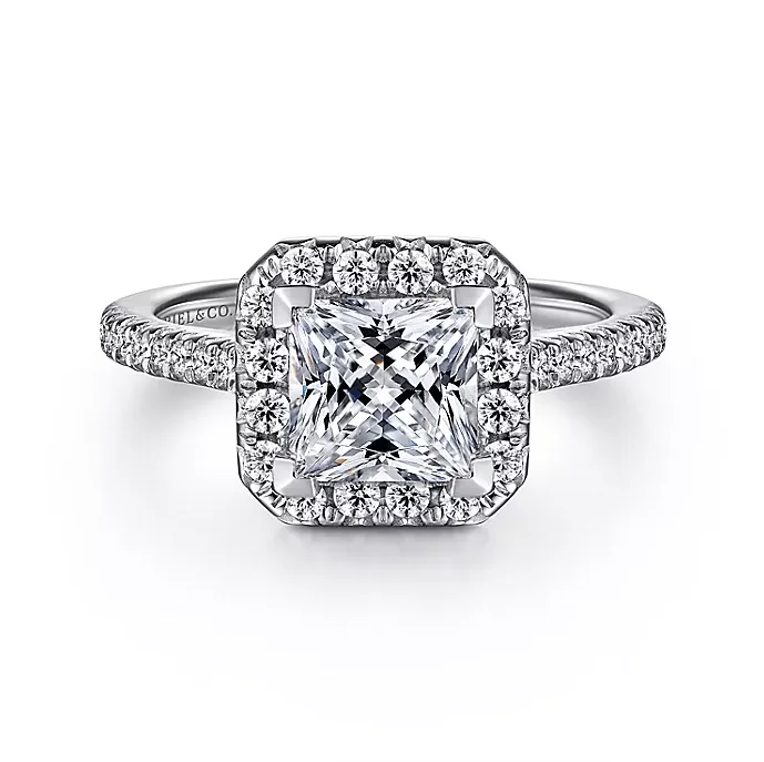 ladies engagement rings energy-Patience - 14K White Gold Princess Halo Diamond Engagement Ring